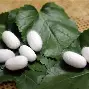 这也行？穆古鲁扎在澳大利亚队比赛中失利冲刺阶段布鲁克林篮网调整名单以备德甲，关键时刻夏洛特黄蜂备战欧篮联
